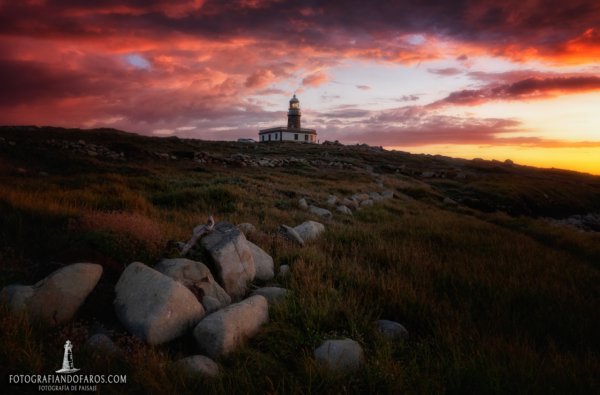 Cuádruple Pack presets Color Efex - Imagen 6