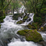 DSC6786 Mejorado NR Editar