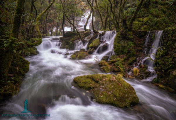 NOVEDAD! Pack de presets RÍOS MÁGICOS para COLOR EFEX - Imagen 7