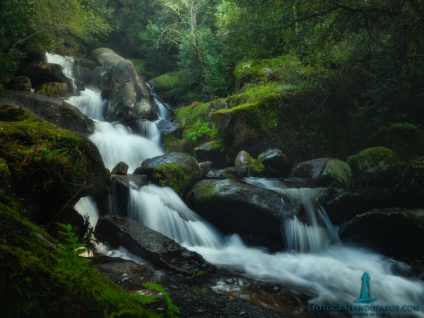 NOVEDAD! Pack de presets RÍOS MÁGICOS para COLOR EFEX - Imagen 3