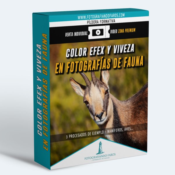 Color Efex Y Viveza En Fotografia De Fauna 1