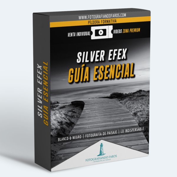 Silver Efex Guia Esencial