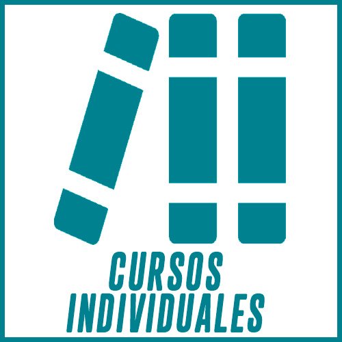 Cursos Individuales
