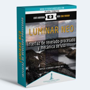 Luminar Neo Interfar De Revelado Procesado