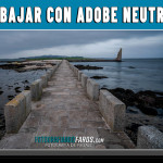 Adobe Neutro