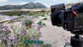 Monte louro duna flores 1.17