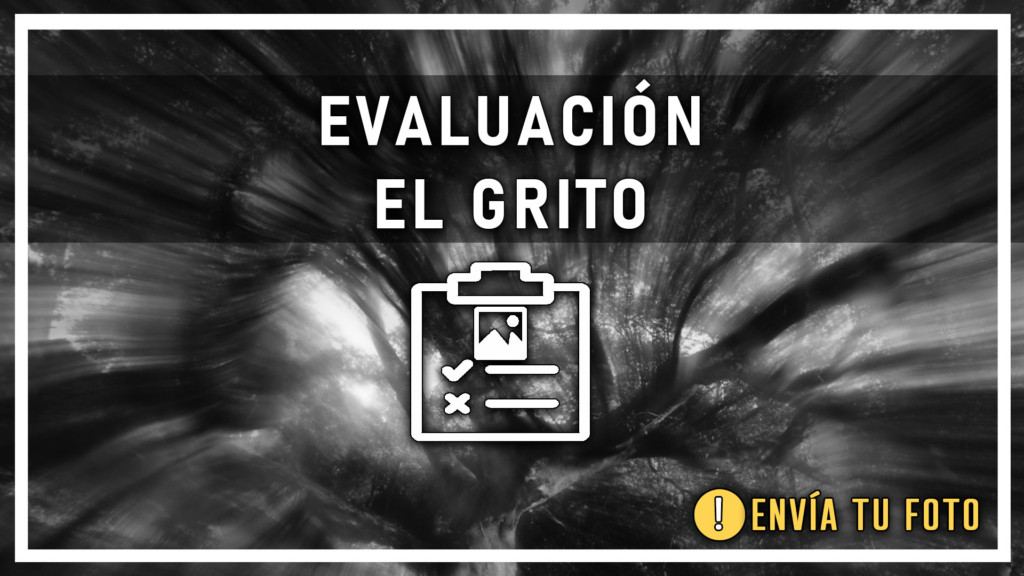 EvaluaciÓn el grito