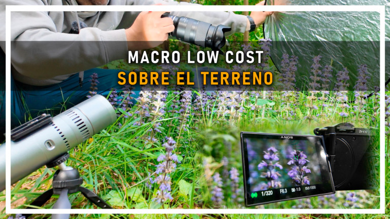 MACRO LOW COST