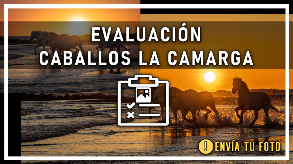 EVALUACION CABALLOS LA CAMARGA