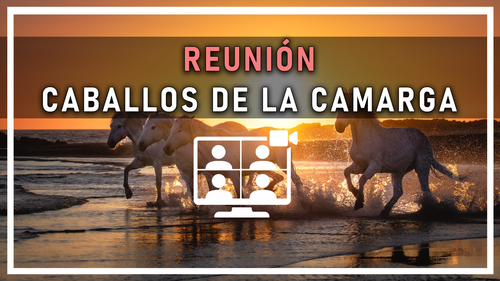 REUNION CABALLOS CAMARGA