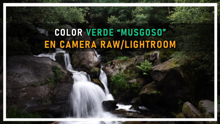 COLOR VERDE MUSGOSO
