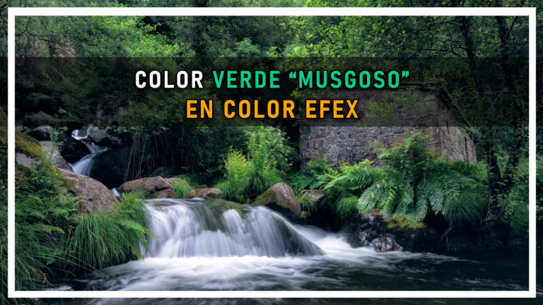 COLOR VERDE MUSGOSO EN COLOR EFEX
