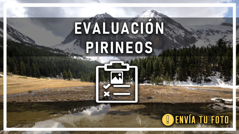 EVALUACION prineos