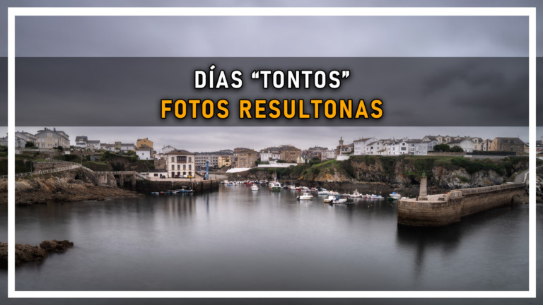 DIAS TONTOS FOTOS RESULTONAS